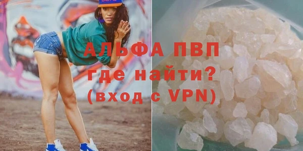 ПСИЛОЦИБИНОВЫЕ ГРИБЫ Вязьма