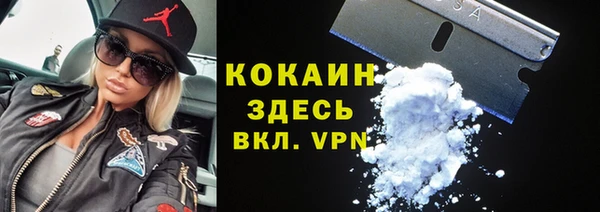 стаф Вяземский