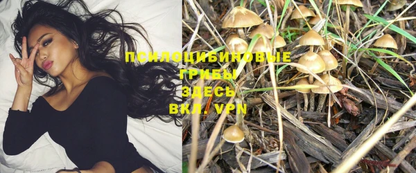 ПСИЛОЦИБИНОВЫЕ ГРИБЫ Вязьма