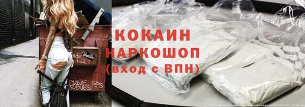 стаф Вяземский