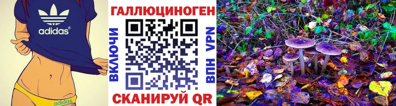 Купить  Радужный  Псилоцибиновые грибы GOLDEN TEACHER 